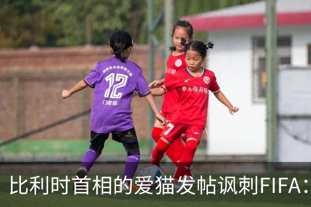 比利时首相的爱猫发帖讽刺FIFA：“红牌？”我照样继续踢！